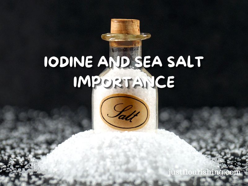 Iodine and Sea Salt Importance
